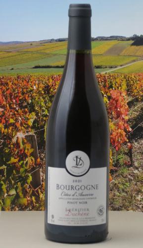 Bourgogne COTE D'AUXERRE ROUGE  2022
